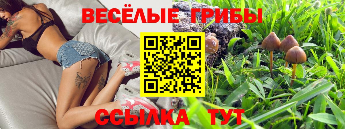 Галлюциногенные грибы Psilocybe  где найти   Арсеньев  Вход с VPN 